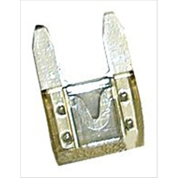 Camco 65151 Mini-Blade Fuse- Clear 25 Amp, 5PK C1W-65151 - main